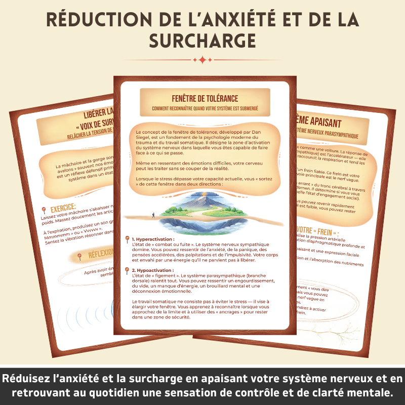 Cahier Thérapeutique De Régulation Somatique - Rééquilibrez Votre Système Nerveux Naturellement