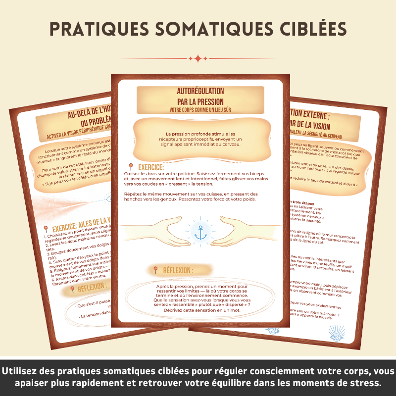 Cahier Thérapeutique De Régulation Somatique - Rééquilibrez Votre Système Nerveux Naturellement
